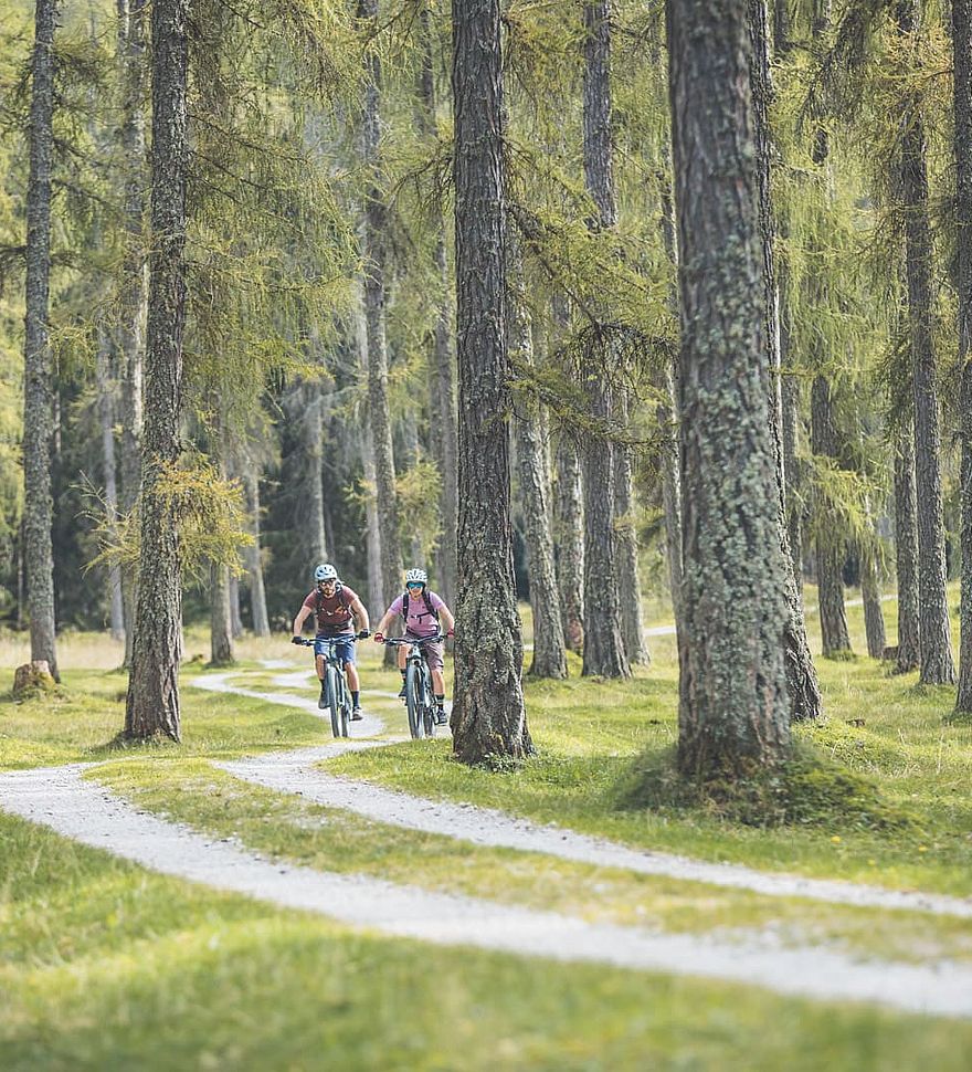Twee fietsers rijden op een slingerend grindpad door een licht bos